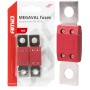 Amio - ΑΣΦΑΛΕΙΕΣ MEGAVAL 80A - 2 Τεμ. (03462/AM)