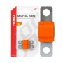Amio - ΑΣΦΑΛΕΙΕΣ MIDIVAL 30A - 2 Τεμ. (03473/AM)