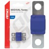 Amio - ΑΣΦΑΛΕΙΕΣ MIDIVAL 100A - 2 Τεμ. (03479/AM)