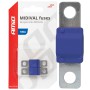 Amio - ΑΣΦΑΛΕΙΕΣ MIDIVAL 100A - 2 Τεμ. (03479/AM)