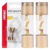 Amio - ΑΣΦΑΛΕΙΕΣ ΓΥΑΛΙΝΕΣ AGU AGU 40A 38x10,3mm - 2 ΤΕΜ. (03485/AM)