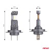 Amio - ΛΑΜΠΕΣ LED H7/H18 12V 60W 6.000K 5.600lm +400% LED CAN-BUS HYBRID SERIES - 2 ΤΕΜ. (04115/AM)