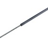 ΑΜΟΡΤΙΣΕΡ ΠΟΡΤ ΜΠΑΓΚΑΖ ΓΙΑ BMW ΣΕΙΡΑ 3 E36 COMPACT 1994-2000 LIFTBACK ΜΕ ΥΑΛΟΚΑΘΑΡΙΣΤΗΡΑ 596mm/420N orig.51248230070 ΝΤΥ - 1 Τεμ.